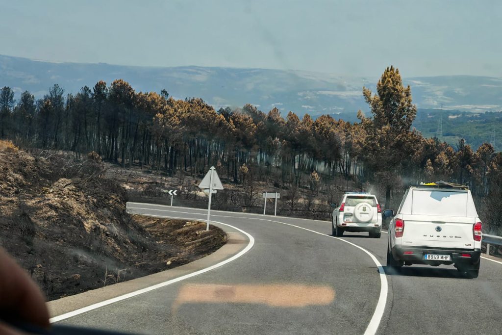 Näkymä auton etuikkunasta: autoja ajamassa mutkaisella maantiellä, tien molemmin puolin näkyy palanutta maastoa.