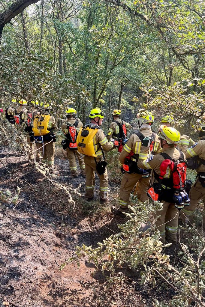 Sammutusasuisia henkilöitä kulkemassa jonossa tiheässä metsässä.