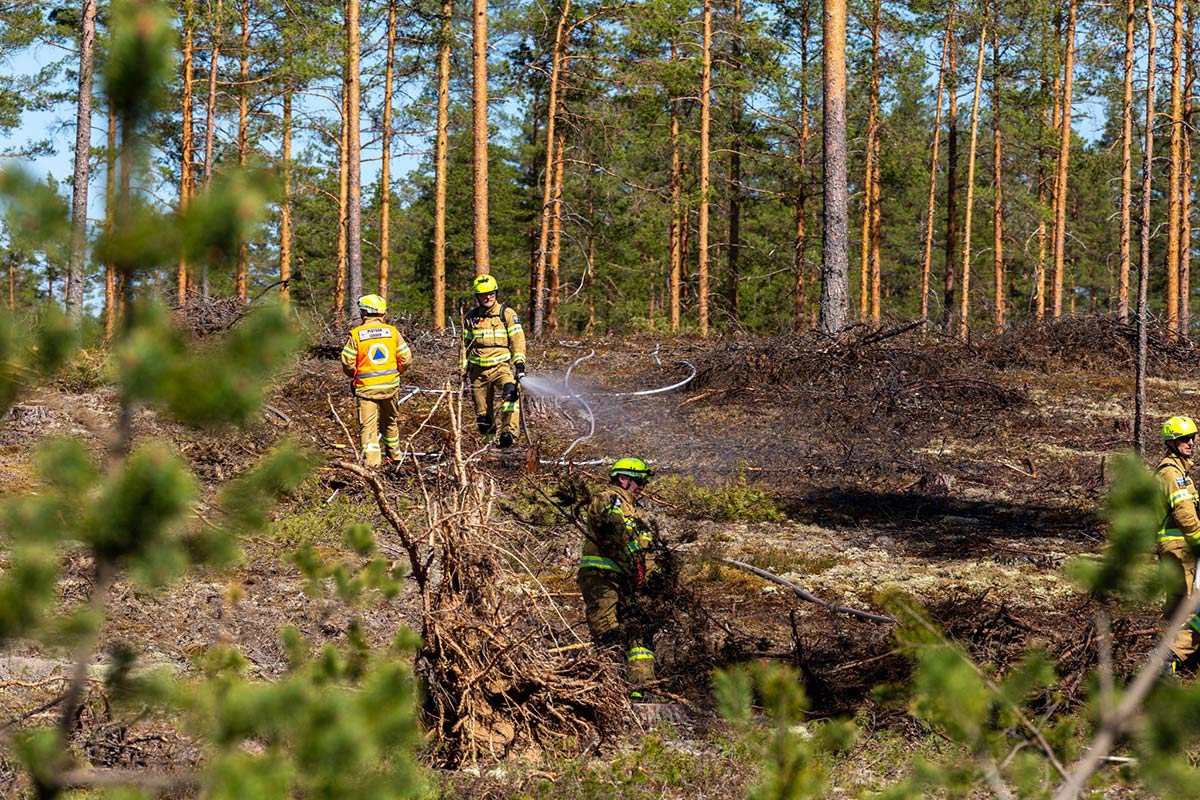 Suomen maastopalomuodostelma (GFFF-V) harjoittelee Pelastusopiston järjestämässä kansainvälisen pelastustoiminnan harjoituksessa Jämijärvellä.